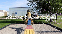 Warbird Neature Nuggets Video