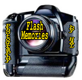 Flash Memories by HAL